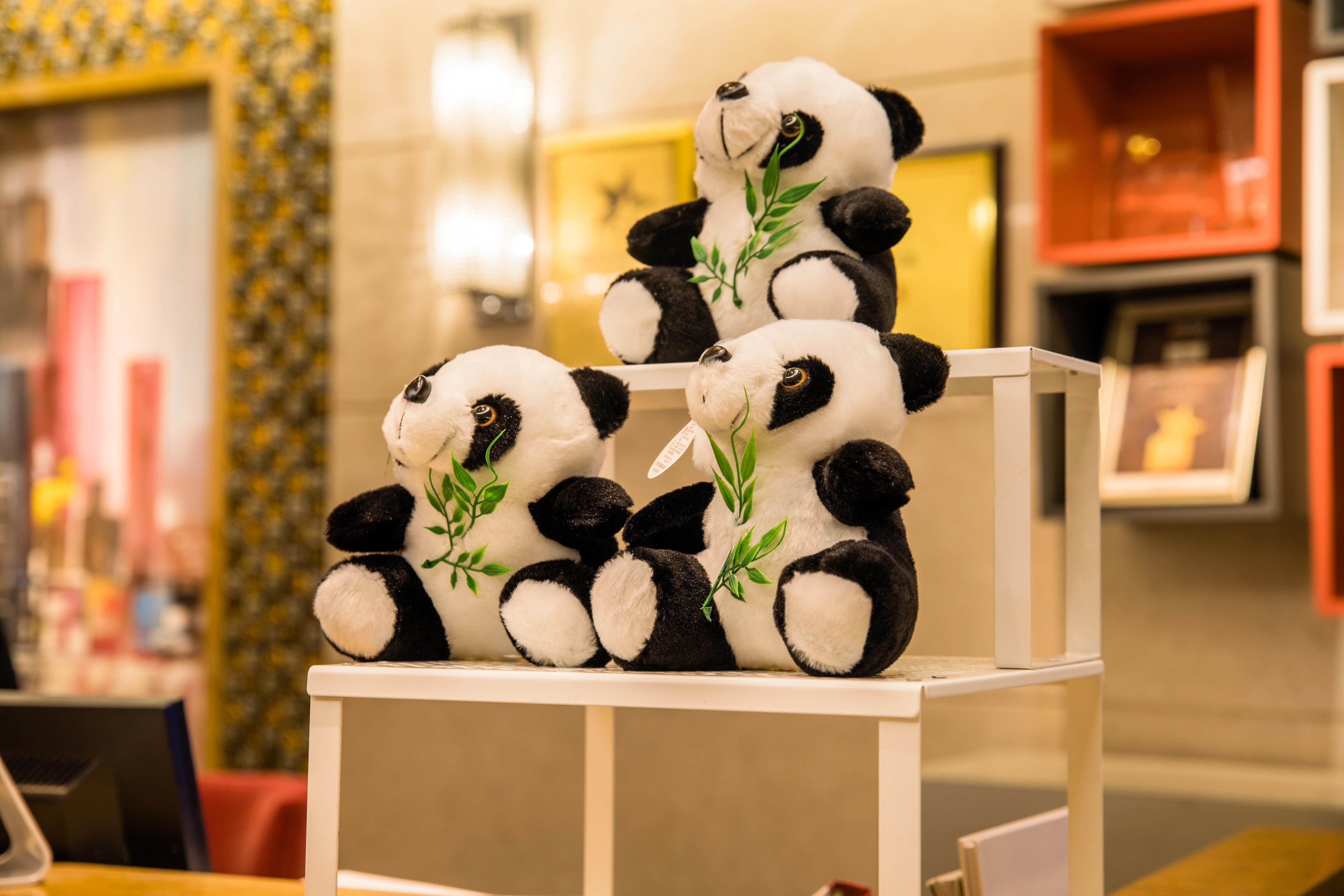 Leeden Hotel Chengdu Extérieur photo
